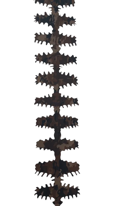 LAPA Ribbon