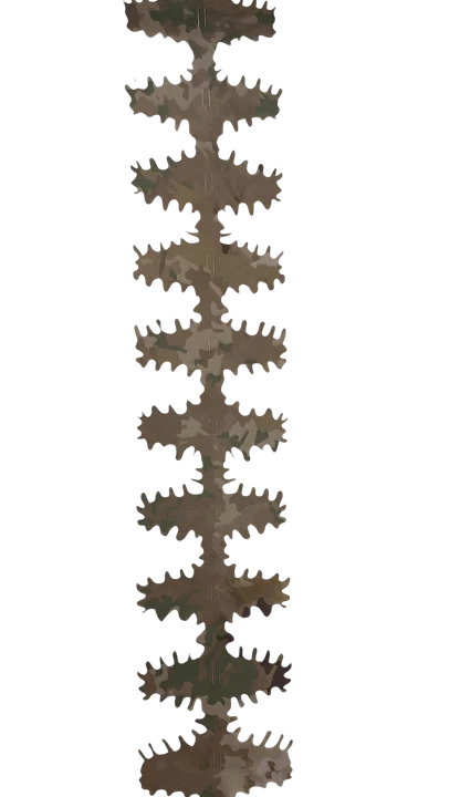 LAPA Ribbon
