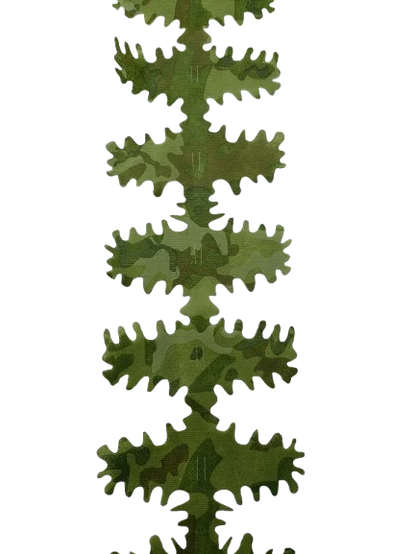 LAPA Ribbon