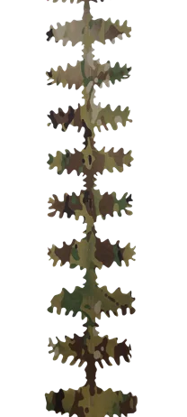 LAPA Ribbon