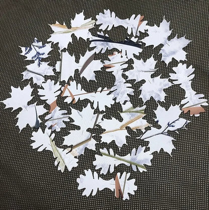 LAPA Artificial leaves